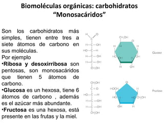 Biomoléculas orgánicas: carbohidratos
“Disacáridos”
Son Oligosacáridos compuestos por dos monosacáridos unidos
por un enla...