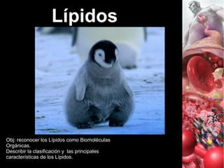 Obj: reconocer los Lípidos como Biomoléculas
Orgánicas.
Describir la clasificación y las principales
características de los Lípidos.
Lípidos
 