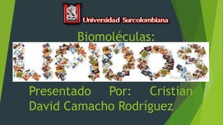 Biomoléculas:
Presentado Por: Cristian
David Camacho Rodríguez
 