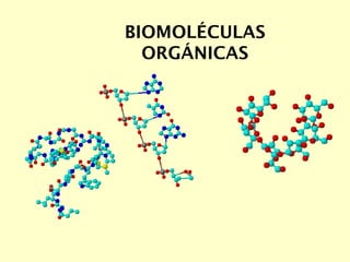 BIOMOLÉCULAS
ORGÁNICAS
 