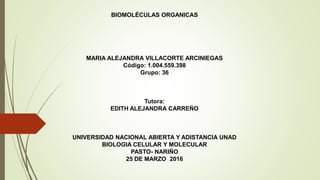 BIOMOLÉCULAS ORGANICAS
MARIA ALEJANDRA VILLACORTE ARCINIEGAS
Código: 1.004.559.398
Grupo: 36
Tutora:
EDITH ALEJANDRA CARREÑO
UNIVERSIDAD NACIONAL ABIERTA Y ADISTANCIA UNAD
BIOLOGIA CELULAR Y MOLECULAR
PASTO- NARIÑO
25 DE MARZO 2016
 