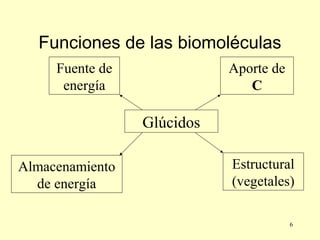 6
Funciones de las biomoléculas
Glúcidos
Fuente de
energía
Aporte de
C
Almacenamiento
de energía
Estructural
(vegetales)
 