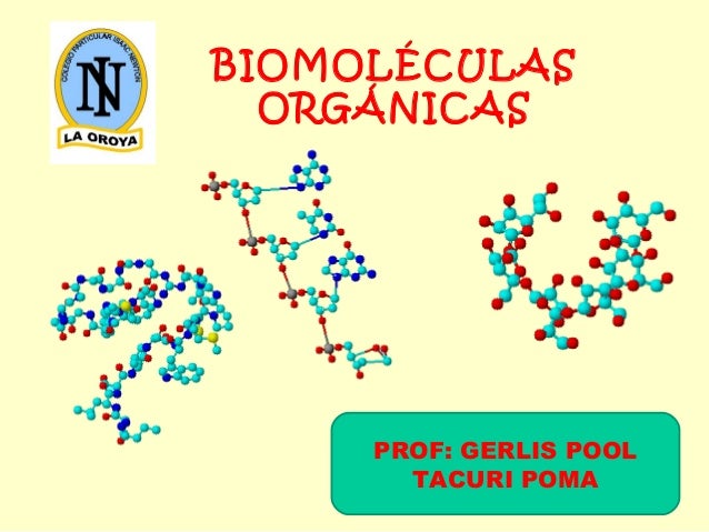 Biomoléculas organicas Biomoléculas organicas