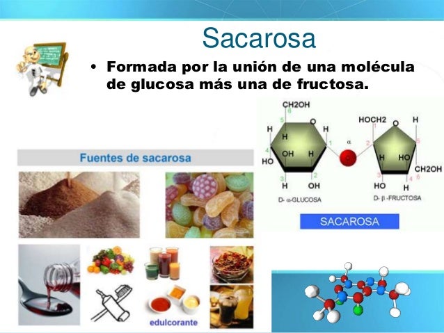 Biomoléculas orgánicas