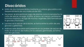 Biomoléculas Orgánicas | PDF