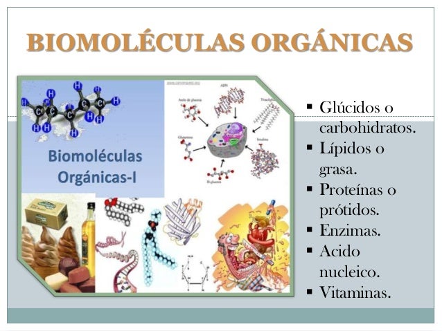 Resultado de imagen para biomoleculas organicas