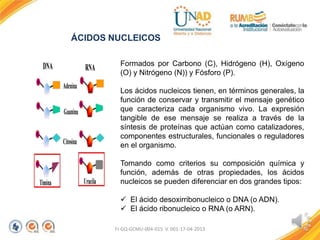 ÁCIDOS NUCLEICOS
FI-GQ-GCMU-004-015 V. 001-17-04-2013
Formados por Carbono (C), Hidrógeno (H), Oxígeno
(O) y Nitrógeno (N)...