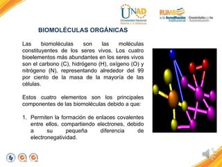 BIOMOLÉCULAS ORGÁNICAS
Las biomoléculas son las moléculas
constituyentes de los seres vivos. Los cuatro
bioelementos más a...