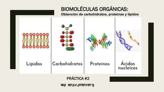 PRÁCTICA #2
MG. ROSA CONDORI Y.
BIOMOLÉCULAS ORGÁNICAS:
Obtención de carbohidratos, proteínas y lípidos
 