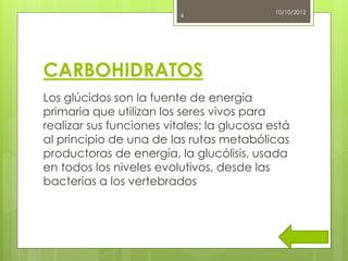10/10/2012
                          4




CARBOHIDRATOS
Los glúcidos son la fuente de energía
primaria que utilizan los seres vivos para
realizar sus funciones vitales; la glucosa está
al principio de una de las rutas metabólicas
productoras de energía, la glucólisis, usada
en todos los niveles evolutivos, desde las
bacterias a los vertebrados
 