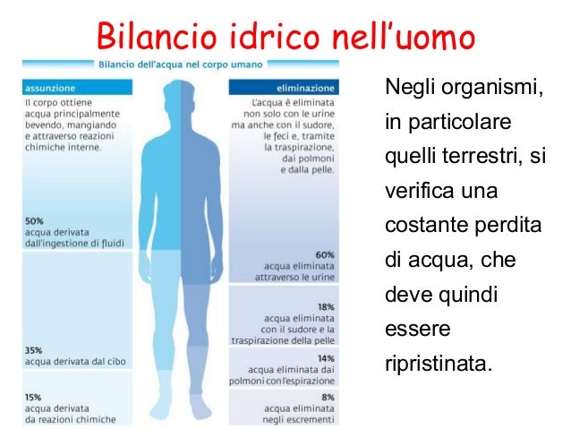 Tè verde con vantaggio di latte e danno per risposte di perdita di peso