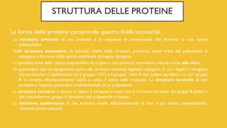 STRUTTURA DELLE PROTEINE
La forma delle proteine comprende quattro livelli strutturali:
La struttura primaria di una proteina è la sequenza di amminoacidi che formano la sua catena
polipeptidica.
Nella struttura secondaria (il secondo livello della struttura proteica), alcuni tratti del polipeptide si
ripiegano o formano delle spirali stabilizzate da legami idrogeno.
La spiralizzazione della catena polipeptidica dà origine a una struttura secondaria indicata come alfa elica.
Un particolare tipo di ripiegamenti porta alla struttura chiamata foglietto ripiegato, in cui i legami a idrogeno
intramolecolari si stabiliscono tra il gruppo >CO e il gruppo –NH di due catene parallele e in cui i gruppi
R si trovano alternativamente sopra e sotto il piano della molecola. La struttura terziaria di una
proteina è l’aspetto generale e tridimensionale di un polipeptide.
La struttura terziaria è dovuta ai legami a idrogeno e ionici che si formano tra alcuni dei gruppi R polari e
alle interazioni tra gruppi R idrofobici del polipeptide e l’acqua.
La struttura quaternaria di una proteina risulta dall’associazione di due o più catene polipeptidiche,
chiamate anche subunità.
 
