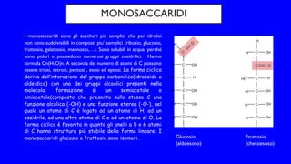 MONOSACCARIDI
I monosaccaridi sono gli zuccheri più semplici che per idrolisi
non sono suddivisibili in composti piu’ semplici (ribosio, glucosio,
fruttosio, galattosio, mannosio,…). Sono solubili in acqua, perché
sono polari e possiedono numerosi gruppi ossidrilici. Hanno
formula Cn(H2O)n. A seconda del numero di atomi di C possono
essere triosi, tetrosi, pentosi , esosi ed eptosi. La forma ciclica
deriva dall’interazione del gruppo carbonilico(idrossido o
aldeidico) con uno dei gruppi alcoolici presenti nella
molecola: formazione si un semiacetale o
emiacetale(composto che presenta sullo stesso C una
funzione alcolica (-OH) e una funzione eterea (-O-), nel
quale un atomo di C è legato ad un atomo di H, ad un
ossidrile, ad una altro atomo di C e ad un atomo di O. La
forma ciclica è favorita in quanto gli anelli a 5 o 6 atomi
di C hanno struttura più stabile della forma lineare. I
monosaccaridi glucosio e fruttosio sono isomeri. Glucosio
(aldoesoso)
Fruttosio
(chetoesoso)
 