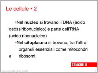 10
Autore, Autore, AutoreTitolo © Zanichelli editore 2009
Le cellule • 2
•Nel nucleo si trovano il DNA (acido
deossiribonucleico) e parte dell’RNA
(acido ribonucleico)
•Nel citoplasma si trovano, tra l’altro,
organuli essenziali come mitocondri
e ribosomi.
 