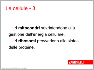 11
Autore, Autore, AutoreTitolo © Zanichelli editore 2009
Le cellule • 3
•I mitocondri sovrintendono alla
gestione dell’energia cellulare.
•I ribosomi provvedono alla sintesi
delle proteine.
 