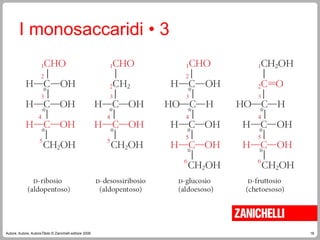 18
Autore, Autore, AutoreTitolo © Zanichelli editore 2009
I monosaccaridi • 3
 
