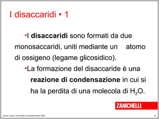 24
Autore, Autore, AutoreTitolo © Zanichelli editore 2009
I disaccaridi • 1
•I disaccaridi sono formati da due
monosaccaridi, uniti mediante un atomo
di ossigeno (legame glicosidico).
•La formazione del disaccaride è una
reazione di condensazione in cui si
ha la perdita di una molecola di H2O.
 