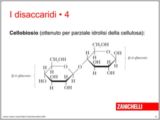 27
Autore, Autore, AutoreTitolo © Zanichelli editore 2009
I disaccaridi • 4
Cellobiosio (ottenuto per parziale idrolisi della cellulosa):
 