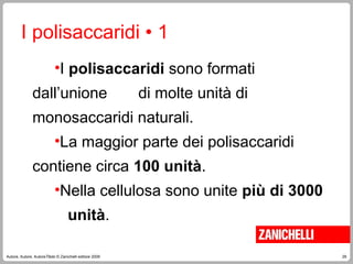 29
Autore, Autore, AutoreTitolo © Zanichelli editore 2009
I polisaccaridi • 1
•I polisaccaridi sono formati
dall’unione di molte unità di
monosaccaridi naturali.
•La maggior parte dei polisaccaridi
contiene circa 100 unità.
•Nella cellulosa sono unite più di 3000
unità.
 