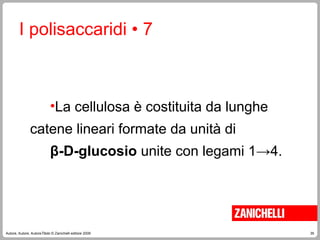 35
Autore, Autore, AutoreTitolo © Zanichelli editore 2009
I polisaccaridi • 7
•La cellulosa è costituita da lunghe
catene lineari formate da unità di
β-D-glucosio unite con legami 1→4.
 