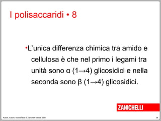 36
Autore, Autore, AutoreTitolo © Zanichelli editore 2009
I polisaccaridi • 8
•L’unica differenza chimica tra amido e
cellulosa è che nel primo i legami tra
unità sono α (1→4) glicosidici e nella
seconda sono β (1→4) glicosidici.
 