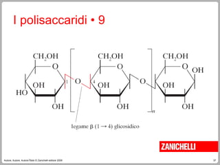 37
Autore, Autore, AutoreTitolo © Zanichelli editore 2009
I polisaccaridi • 9
 