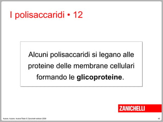 40
Autore, Autore, AutoreTitolo © Zanichelli editore 2009
I polisaccaridi • 12
Alcuni polisaccaridi si legano alle
proteine delle membrane cellulari
formando le glicoproteine.
 