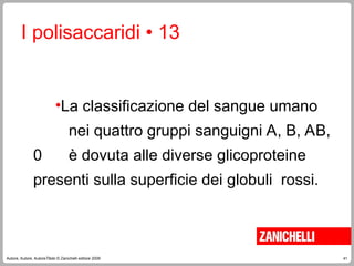 41
Autore, Autore, AutoreTitolo © Zanichelli editore 2009
I polisaccaridi • 13
•La classificazione del sangue umano
nei quattro gruppi sanguigni A, B, AB,
0 è dovuta alle diverse glicoproteine
presenti sulla superficie dei globuli rossi.
 