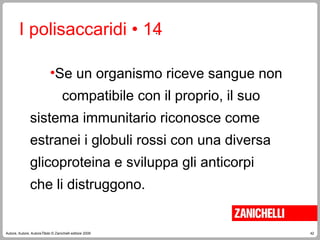 42
Autore, Autore, AutoreTitolo © Zanichelli editore 2009
I polisaccaridi • 14
•Se un organismo riceve sangue non
compatibile con il proprio, il suo
sistema immunitario riconosce come
estranei i globuli rossi con una diversa
glicoproteina e sviluppa gli anticorpi
che li distruggono.
.
 