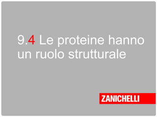 9.4 Le proteine hanno
un ruolo strutturale
 