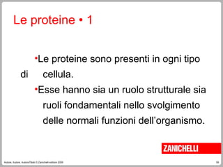 59
Autore, Autore, AutoreTitolo © Zanichelli editore 2009
•Le proteine sono presenti in ogni tipo
di cellula.
•Esse hanno sia un ruolo strutturale sia
ruoli fondamentali nello svolgimento
delle normali funzioni dell’organismo.
Le proteine • 1
 