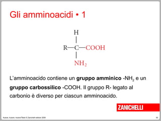 63
Autore, Autore, AutoreTitolo © Zanichelli editore 2009
Gli amminoacidi • 1
L’amminoacido contiene un gruppo amminico -NH2 e un
gruppo carbossilico -COOH. Il gruppo R- legato al
carbonio è diverso per ciascun amminoacido.
 