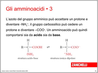 65
Autore, Autore, AutoreTitolo © Zanichelli editore 2009
Gli amminoacidi • 3
L’azoto del gruppo amminico può accettare un protone e
diventare -NH3
+
, il gruppo carbossilico può cedere un
protone e diventare –COO-
. Un amminoacido può quindi
comportarsi sia da acido sia da base.
 