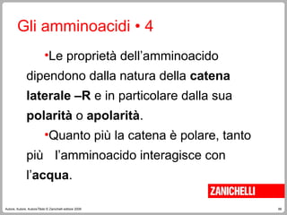 66
Autore, Autore, AutoreTitolo © Zanichelli editore 2009
Gli amminoacidi • 4
•Le proprietà dell’amminoacido
dipendono dalla natura della catena
laterale –R e in particolare dalla sua
polarità o apolarità.
•Quanto più la catena è polare, tanto
più l’amminoacido interagisce con
l’acqua.
 