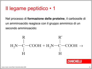 67
Autore, Autore, AutoreTitolo © Zanichelli editore 2009
Il legame peptidico • 1
Nel processo di formazione delle proteine, il carbossile di
un amminoacido reagisce con il gruppo amminico di un
secondo amminoacido:
 
