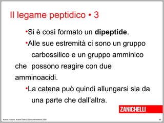 69
Autore, Autore, AutoreTitolo © Zanichelli editore 2009
Il legame peptidico • 3
•Si è così formato un dipeptide.
•Alle sue estremità ci sono un gruppo
carbossilico e un gruppo amminico
che possono reagire con due
amminoacidi.
•La catena può quindi allungarsi sia da
una parte che dall’altra.
 