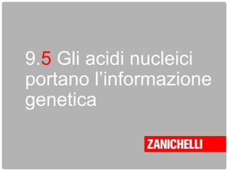9.5 Gli acidi nucleici
portano l’informazione
genetica
 