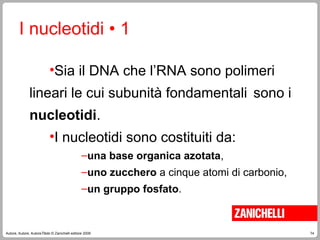 74
Autore, Autore, AutoreTitolo © Zanichelli editore 2009
I nucleotidi • 1
•Sia il DNA che l’RNA sono polimeri
lineari le cui subunità fondamentali sono i
nucleotidi.
•I nucleotidi sono costituiti da:
–una base organica azotata,
–uno zucchero a cinque atomi di carbonio,
–un gruppo fosfato.
 
