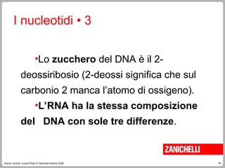 76
Autore, Autore, AutoreTitolo © Zanichelli editore 2009
•Lo zucchero del DNA è il 2-
deossiribosio (2-deossi significa che sul
carbonio 2 manca l’atomo di ossigeno).
•L’RNA ha la stessa composizione
del DNA con sole tre differenze.
I nucleotidi • 3
 