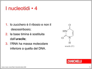 77
Autore, Autore, AutoreTitolo © Zanichelli editore 2009
1. lo zucchero è il ribosio e non il
desossiribosio;
2. la base timina è sostituita
dall’uracile;
3. l’RNA ha massa molecolare
inferiore a quella del DNA.
I nucleotidi • 4
 