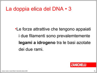 80
Autore, Autore, AutoreTitolo © Zanichelli editore 2009
La doppia elica del DNA • 3
•Le forze attrattive che tengono appaiati
i due filamenti sono prevalemtemente
legami a idrogeno tra le basi azotate
dei due rami.
 