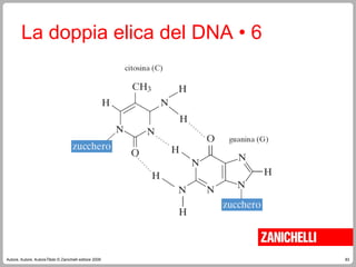 83
Autore, Autore, AutoreTitolo © Zanichelli editore 2009
La doppia elica del DNA • 6
 