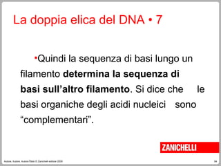 84
Autore, Autore, AutoreTitolo © Zanichelli editore 2009
La doppia elica del DNA • 7
•Quindi la sequenza di basi lungo un
filamento determina la sequenza di
basi sull’altro filamento. Si dice che le
basi organiche degli acidi nucleici sono
“complementari”.
 