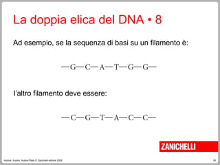 85
Autore, Autore, AutoreTitolo © Zanichelli editore 2009
La doppia elica del DNA • 8
Ad esempio, se la sequenza di basi su un filamento è:
l’altro filamento deve essere:
 