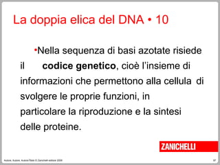 87
Autore, Autore, AutoreTitolo © Zanichelli editore 2009
La doppia elica del DNA • 10
•Nella sequenza di basi azotate risiede
il codice genetico, cioè l’insieme di
informazioni che permettono alla cellula di
svolgere le proprie funzioni, in
particolare la riproduzione e la sintesi
delle proteine.
 