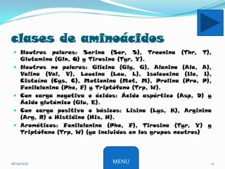 clases de aminoácidos
 Neutros polares: Serina (Ser, S), Treonina (Thr, T),
Glutamina (Gln, Q) y Tirosina (Tyr, Y).
 Neutros no polares: Glicina (Gly, G), Alanina (Ala, A),
Valina (Val, V), Leucina (Leu, L), Isoleucina (Ile, I),
Cisteína (Cys, C), Metionina (Met, M), Prolina (Pro, P),
Fenilalanina (Phe, F) y Triptófano (Trp, W).
 Con carga negativa o ácidos: Ácido aspártico (Asp, D) y
Ácido glutámico (Glu, E).
 Con carga positiva o básicos: Lisina (Lys, K), Arginina
(Arg, R) e Histidina (His, H).
 Aromáticos: Fenilalanina (Phe, F), Tirosina (Tyr, Y) y
Triptófano (Trp, W) (ya incluidos en los grupos neutros)
16/04/2013 11MENU
 