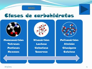 Clases de carbohidratos
16/04/2013 13
Monosacáridos
Tetrosas
Pentosas
Hexosas
Disacáridos
Lactosa
Galactosa
Sacarosa
Polisacáridos
Almidón
Glucógeno
Celulosa
MENU
 