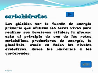 carbohidratos
Los glúcidos son la fuente de energía
primaria que utilizan los seres vivos para
realizar sus funciones vitales; la glucosa
está al principio de una de las rutas
metabólicas productoras de energía, la
glucólisis, usada en todos los niveles
evolutivos, desde las bacterias a los
vertebrados
16/04/2013 4
MENÚ
 