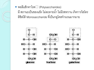 พอลีแซ็กคาไรด (Polysaccharides)
มี สถานะเป็นของแข็ง ไม่ละลายน้า ไม่มีรสหวาน เกิดการไฮโดร
ลิซิสได้ Monosaccharide ที่เป็นกลูโคสจานวนมากมาย
 