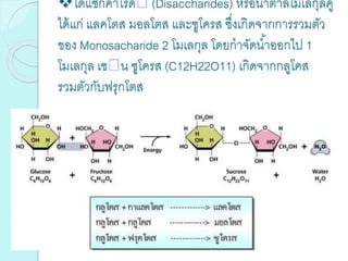 ไดแซ็กคาไรด (Disaccharides) หรือน้าตาลโมเลกุลคู่
ได้แก่ แลคโตส มอลโตส และซูโครส ซึ่งเกิดจากการรวมตัว
ของ Monosacharide 2 โมเลกุล โดยกาจัดน้าออกไป 1
โมเลกุล เช น ซูโครส (C12H22O11) เกิดจากกลูโคส
รวมตัวกับฟรุกโตส
 